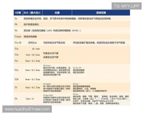 华体会体育会员等级划分及晋升标准全面介绍