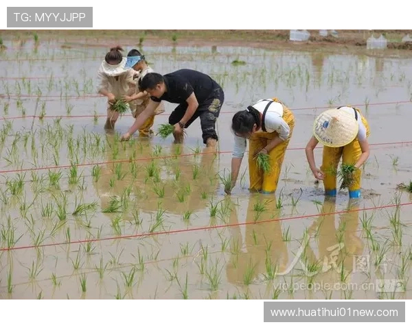 华体会旗舰厅登录线路技术支持，保障网站运行稳定和数据安全